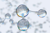 Eletrólitos no organismo Eletrólitos no organismo